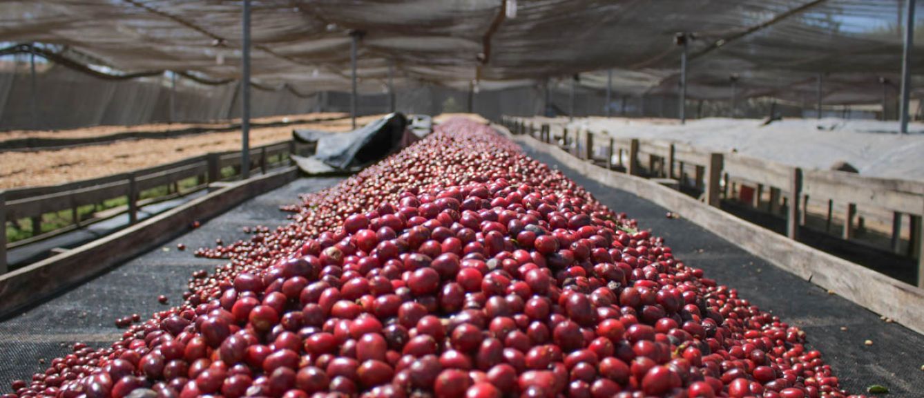 Nicaragua's Dark Matter Delight