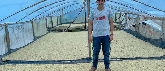 Colombia's Pink Bourbon Aurora