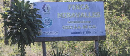 El Salvador Space Bourbon