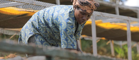 Rwanda's Solar Honey